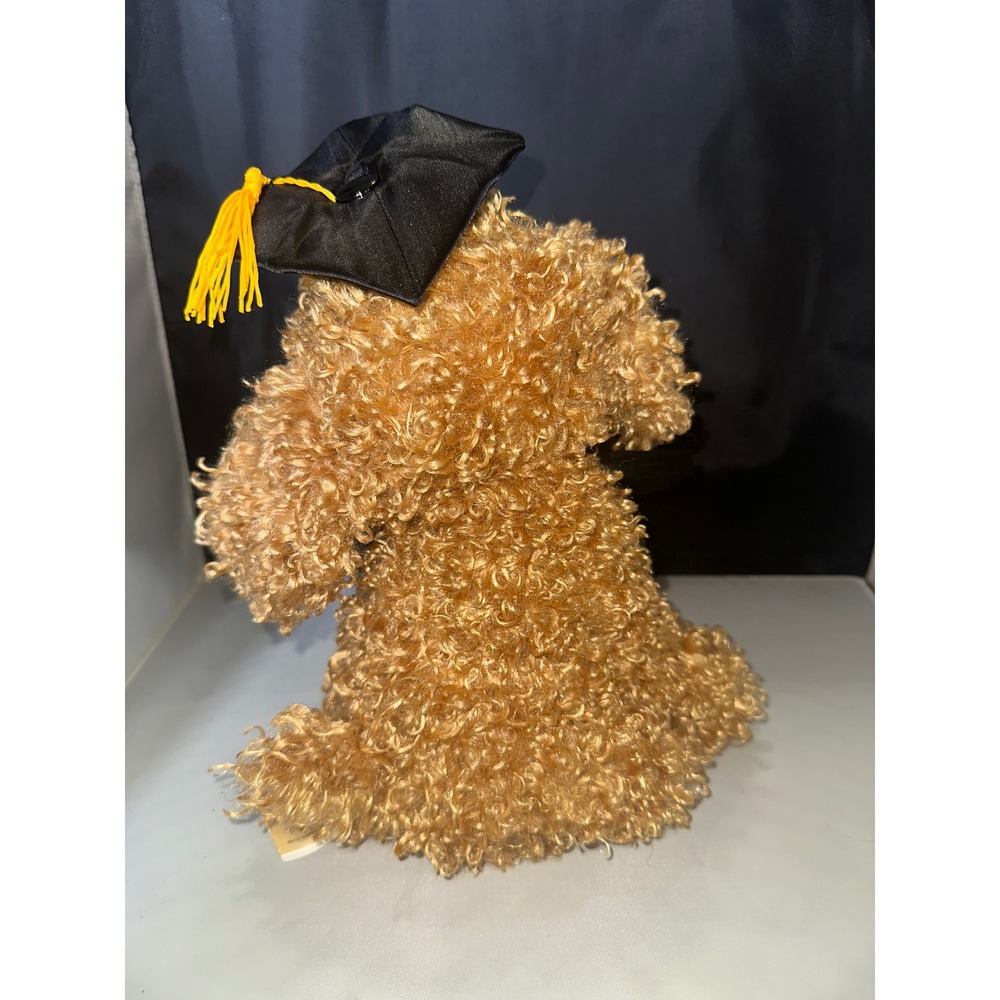Graduation Poodle Plush Musical Singing Celebration Tan Curly Dog Toy NWT - Picture 3 of 3